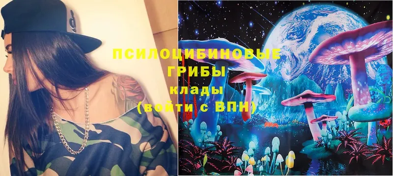 Псилоцибиновые грибы Magic Shrooms  купить закладку  Венёв 